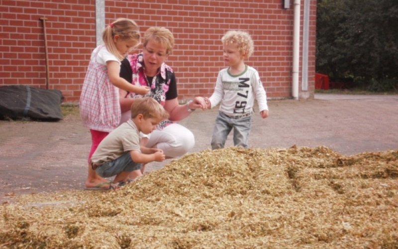 kinderopvang op een boerderij in Geesteren, gemeente Tubbergen