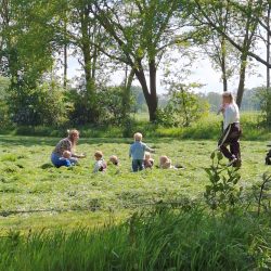 kinderen in het gras1